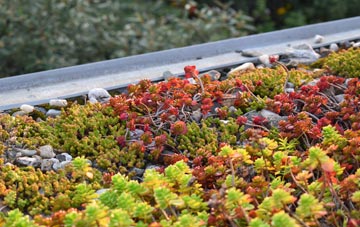 the cost of Emmington green roof installation