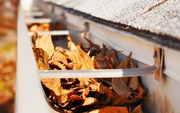 Emmington gutter cleaning companies