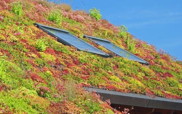 Emmington living roof systems