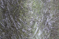 Emmington fibreglass roof work